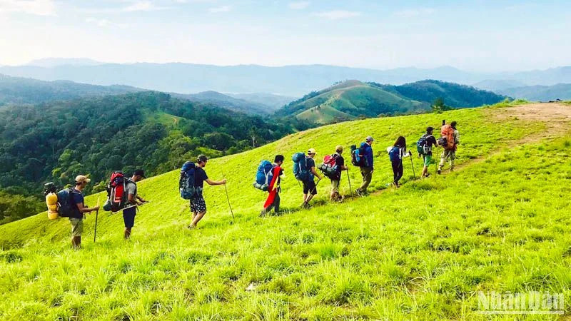 Du lịch trải nghiệm trekking Tà Năng-Phan Dũng. (Ảnh: Văn Bảo)