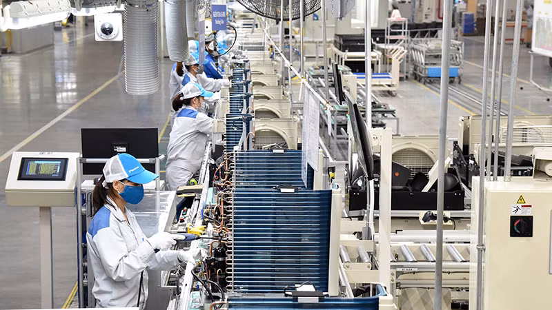 (Ảnh: Trần Hải)