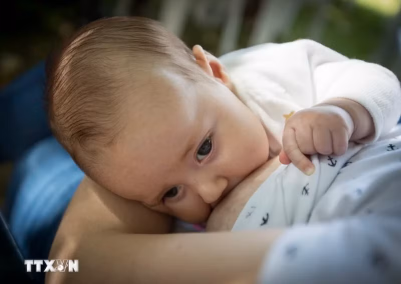 Em bé bú sữa mẹ. (Ảnh: AFP/TTXVN)