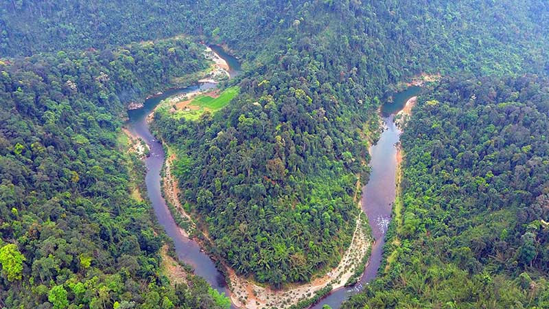 Hệ thực vật đa dạng tại Vườn Quốc gia Pù Mát, Khu dự trữ sinh quyển miền tây Nghệ An. (Ảnh NGUYỄN ĐĂNG)