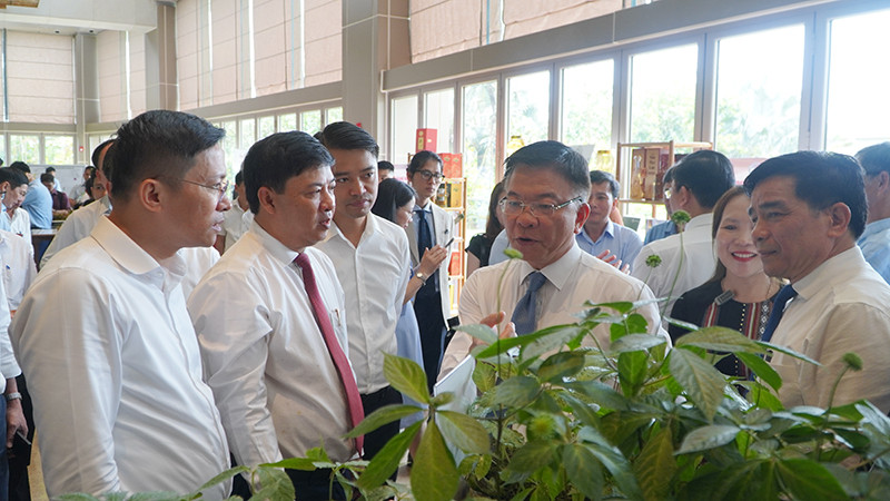 Phó Thủ tướng Chính phủ Lê Thành Long cùng lãnh đạo tỉnh Quảng Nam tham quan gian hàng sâm Ngọc Linh trưng bày tại hội nghị.