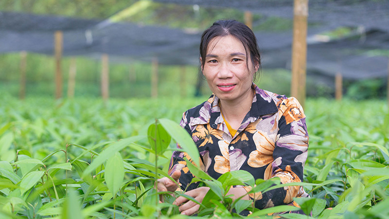 Phụ nữ ở Yên Bái tham gia dự án “Bứt phá: Thúc đẩy tài chính toàn diện cho phụ nữ dân tộc thiểu số” giúp nhiều chị thoát nghèo. (Ảnh: Care quốc tế tại Việt Nam)