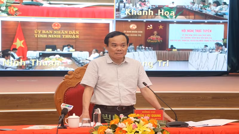 Phó Thủ tướng Chính phủ Trần Lưu Quang phát biểu tại hội nghị.