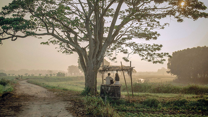 Cảnh trong phim Mắt biếc - bộ phim có nội dung nhẹ nhàng, trong sáng, được nhiều khán giả yêu thích.