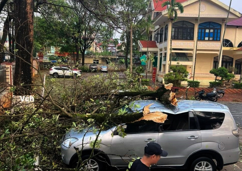 Tại thành phố Sơn La vẫn chưa có thống kê về thiệt hại, nhưng mưa to, gió lốc đã làm nhiều cây xanh đổ, gẫy, ảnh hưởng đến tài sản người dân. (Ảnh: Người dân cung cấp).