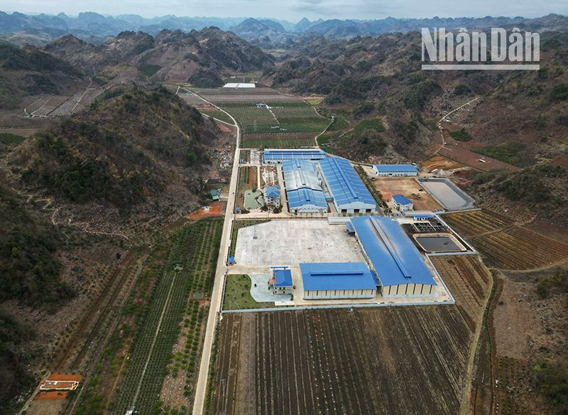 2 Nhà máy sản xuất phân bón Sông Lam Tây Bắc và Nhà máy chế biến cà-phê Sơn La nằm sát nhau tại xã Mường Bon, huyện Mai Sơn, tỉnh Sơn La.