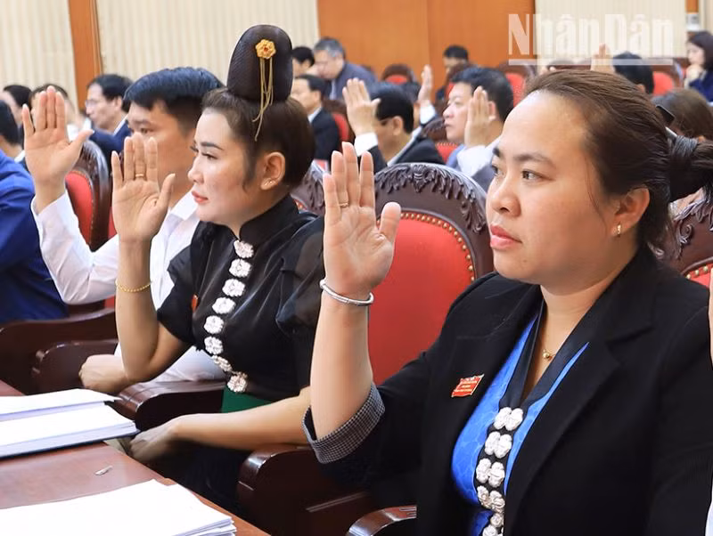 Các đại biểu biểu quyết thông qua nghị quyết về về kế hoạch đầu tư phát triển và phân bổ vốn.