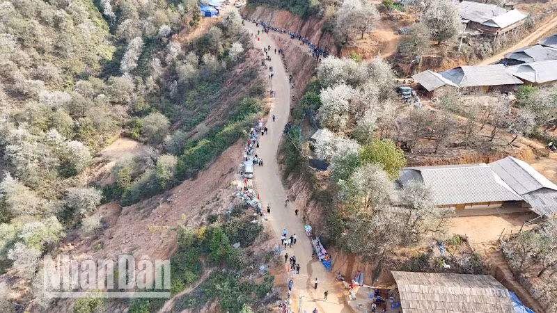 Ngày hội hoa Sơn tra xã Ngọc Chiến, huyện Mường La năm nay thu hút đông đảo du khách, người dân trong và ngoài tỉnh tham dự.
