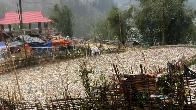 Mưa đá kéo dài khoảng 30 phút tại bản Nà Lầu, xã Mường É, huyện Thuận Châu, Sơn La. (Ảnh: TÙNG LÂM)