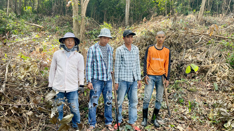 4 đối tượng chặt phá rừng ở Phú Quốc.