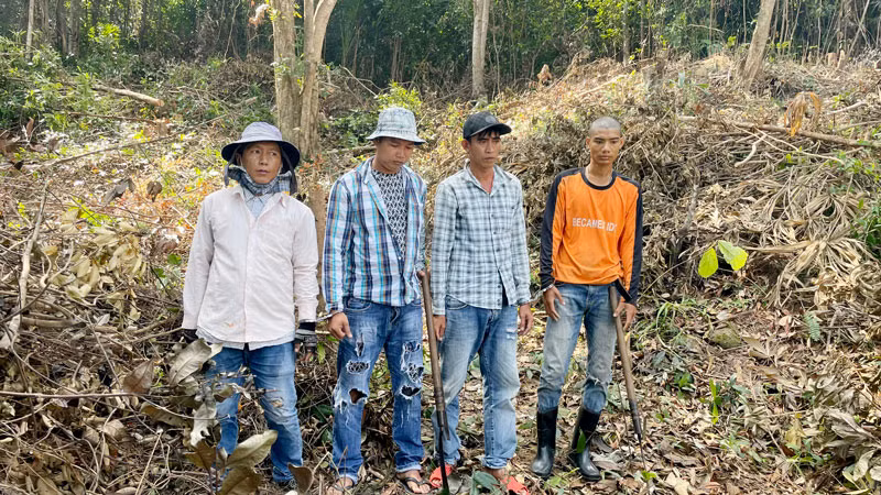 4 đối tượng chặt phá rừng ở Phú Quốc.