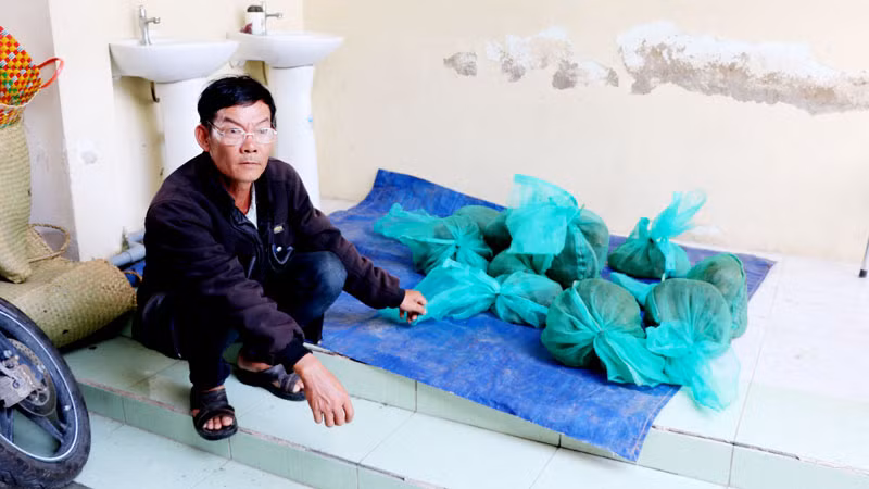 Đối tượng Nguyễn Văn Đề cùng 10 con khỉ đuôi dài, tổng trọng khoảng 20kg. 