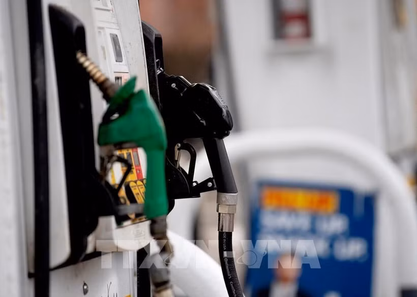 Ảnh minh hoạ (Nguồn: AFP/TTXVN) 