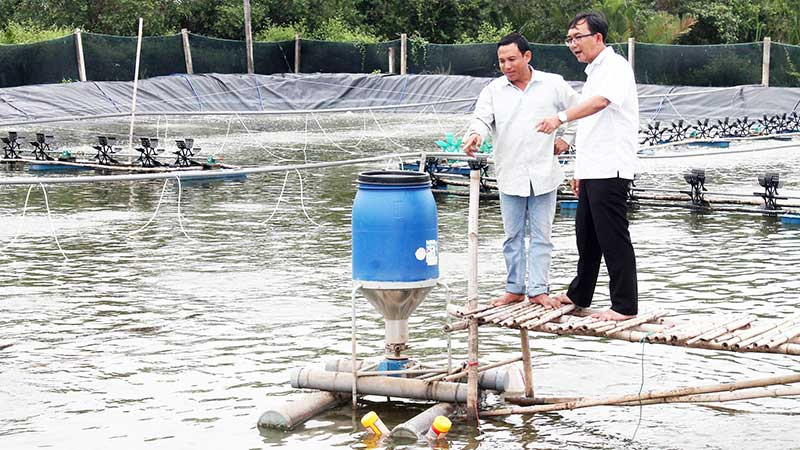 Mô hình nuôi tôm công nghệ cao của đồng bào Khmer ở thị xã Vĩnh Châu, tỉnh Sóc Trăng. (Ảnh NGUYỄN PHONG)