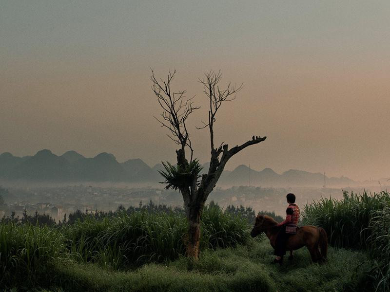 Cảnh trong phim Khu rừng của Páo (Pao’s Forest). Nguồn: haniff.vn