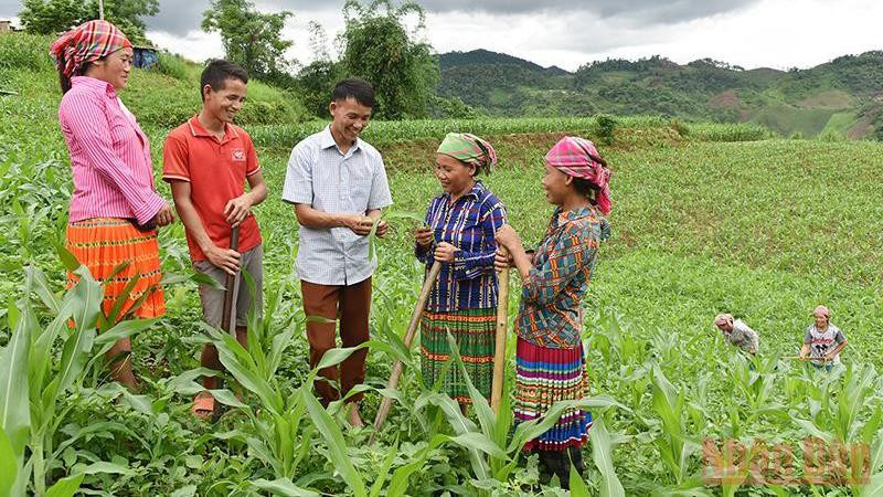 Hướng dẫn người dân bản Tà Han, xã Xuân Lạc, huyện Chợ Đồn, Bắc Kạn, trồng ngô năng suất cao. (Ảnh: Trần Hải)