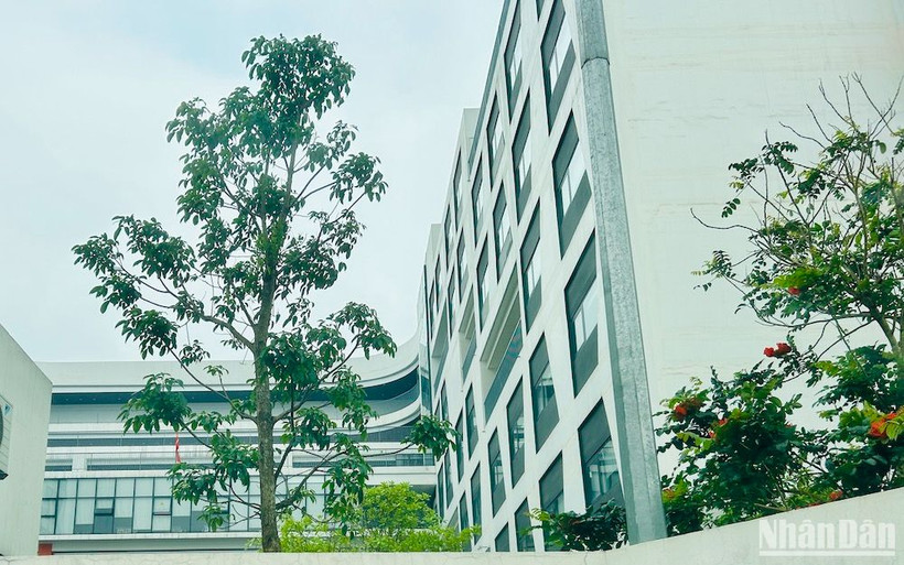 (Ảnh minh hoạ: L.H)