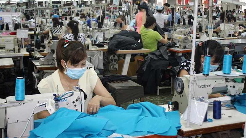 Lao động tại Công ty cổ phần Đồng Tiến. (Ảnh: HOÀNG ANH)