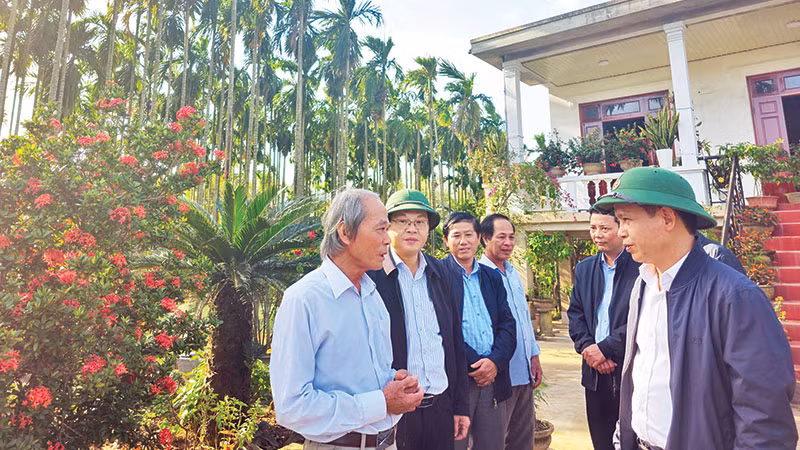 Bí thư Huyện ủy Triệu Phong Trần Xuân Anh (bên phải) cùng lãnh đạo huyện thăm khu vườn mẫu của ông Đào Xá (bên trái) ở thôn Bích Khê, xã Triệu Long.