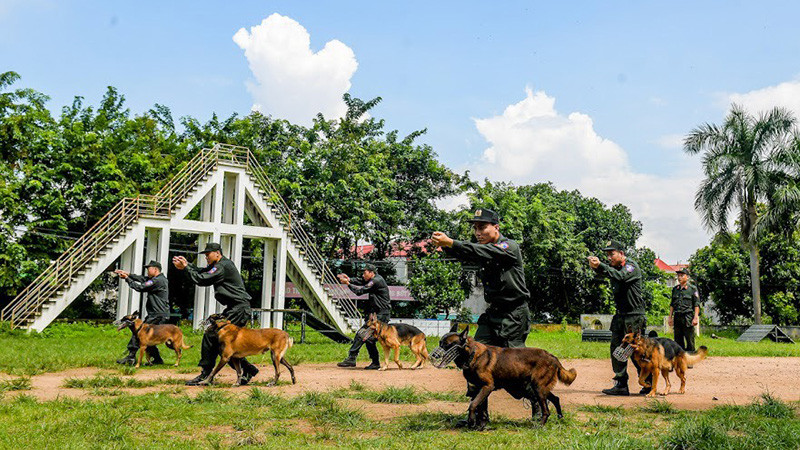 Các chú chó cùng huấn luyện viên luyện tập không kể nắng mưa trên thao trường.