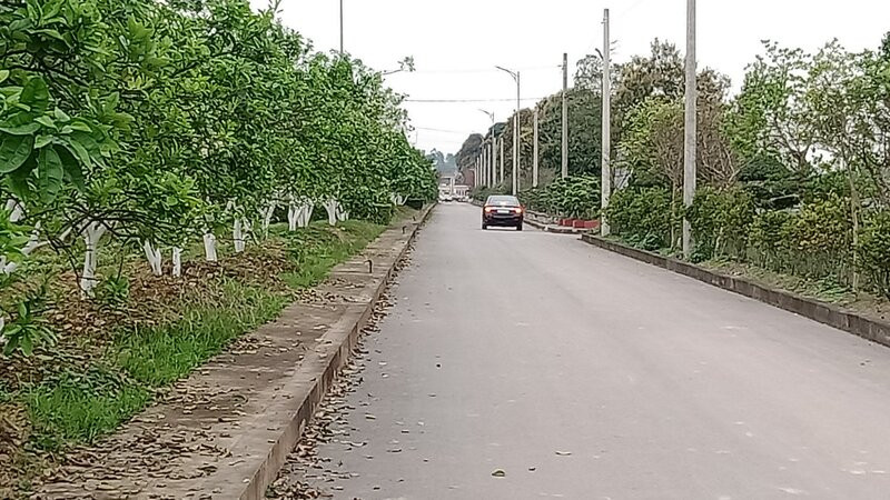 Nghĩa trang sinh thái Ngân Hà Viên được đầu tư xây dựng khang trang, nhiều cây xanh.