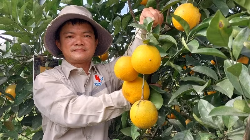 Ảnh minh họa: nhandan.vn.