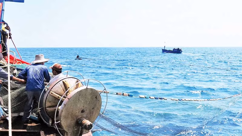 Ngư dân Quảng Ngãi đánh bắt hải sản.