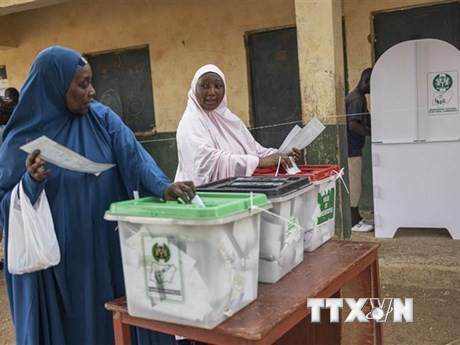Cử tri Nigeria bỏ phiếu bầu Tổng thống và nghị sỹ quốc hội ở Yola ngày 25/2/2023. (Ảnh: AFP/TTXVN)