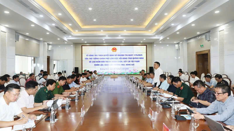 Quang cảnh buổi làm việc.