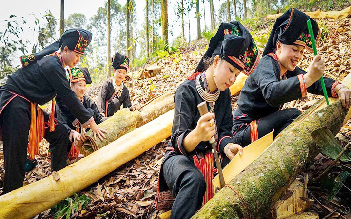 Đồng bào Dao huyện Văn Yên, tỉnh Yên Bái thu hoạch quế, nâng cao mức thu nhập tại vùng khó khăn. (Ảnh: THANH SƠN)