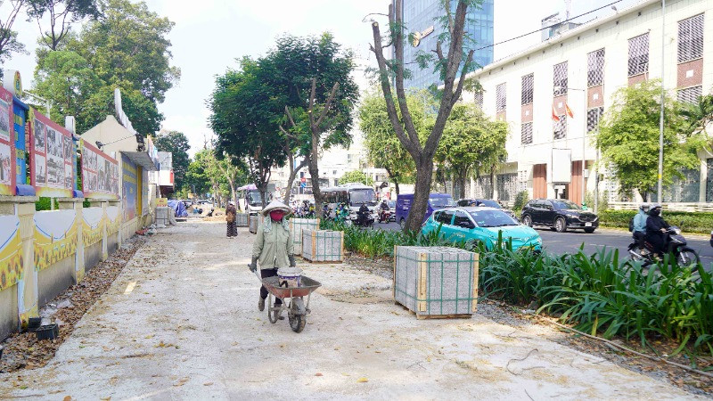 Nhiều cây lim xẹt trên vỉa hè đường Nguyễn Thị Minh Khai, Quận 1 bị cắt gọt tán. (Ảnh: THẾ ANH)