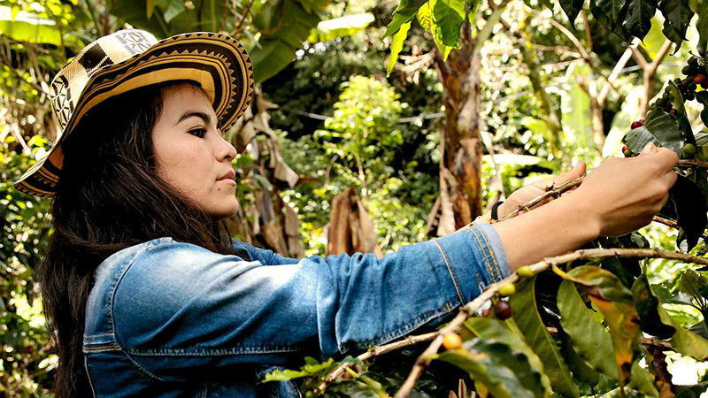 Deyanira Cordoba, một trong những phụ nữ trồng cà-phê ở Tablón de Gómez, vùng Nariño của Colombia. Là một phần của dự án UN Women, cô đã tìm hiểu về các quyền kinh tế, quyền tự chủ về cơ thể của mình và hơn thế nữa. Ảnh: UN Women 