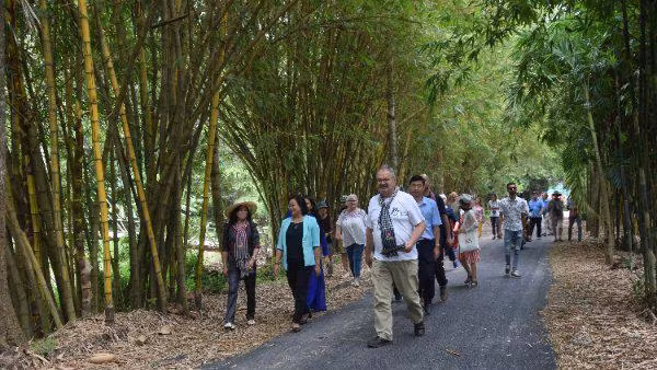 Du khách thăm quan tuyến đường tre tại khu du lịch sinh thái Gáo Giồng, huyện Cao Lãnh, tỉnh Đồng Tháp. (Ảnh: Hữu Nghĩa)