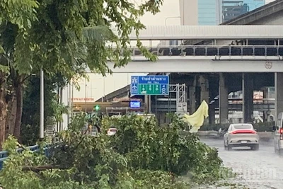 Cây cối gẫy đổ trên đường phố tại thủ đô Bangkok ngày 3/10. (Ảnh: XUÂN SƠN)