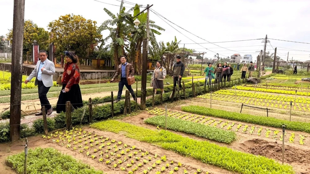 Đoàn khảo sát Làng rau Trà Quế - Làng du lịch tốt nhất thế giới năm 2024 do Tổ chức Du lịch Liên hợp quốc (UN Tourism) bình chọn.