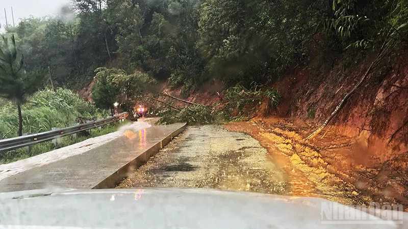 Cây gãy đổ tại tuyến đường Quốc lộ 40B.