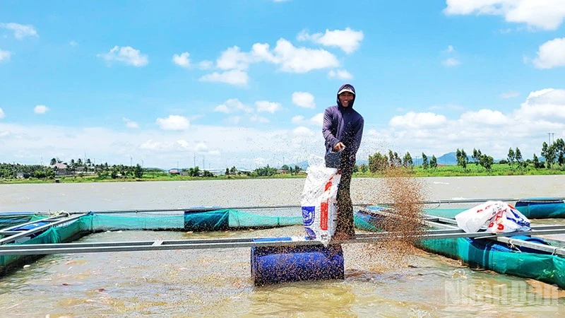 Nuôi cá lồng bè mang lại thu nhập ổn định cho người dân xã Cửu An.