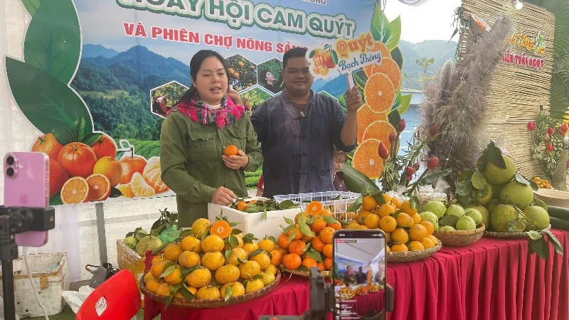 Livestream bán hàng cam, quýt tại Ngày hội. (Ảnh: DUY KHÁNH)