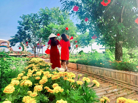 Đường xuân ở khu tham quan Nhà máy điện mặt trời An Hảo.