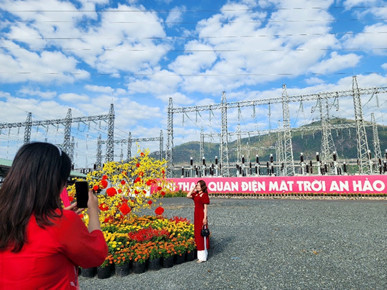 Tạo dáng xuân trước Nhà máy điện mặt trời An Hảo.