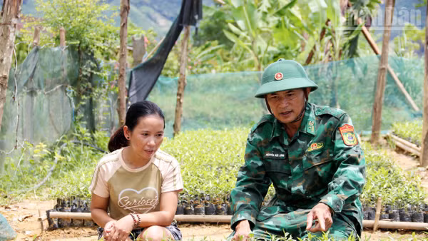 Bộ đội Biên phòng Tổ công tác Rào Tre hướng dẫn bà con dân tộc Chứt quy trình trồng, chăm sóc dó trầm.