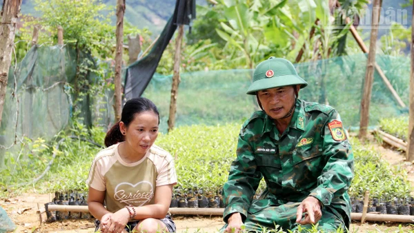 Bộ đội Biên phòng Tổ công tác Rào Tre hướng dẫn bà con dân tộc Chứt quy trình trồng, chăm sóc dó trầm.