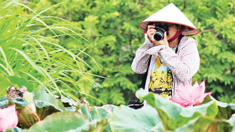 Nơi hội tụ các loại sen quý hiếm 