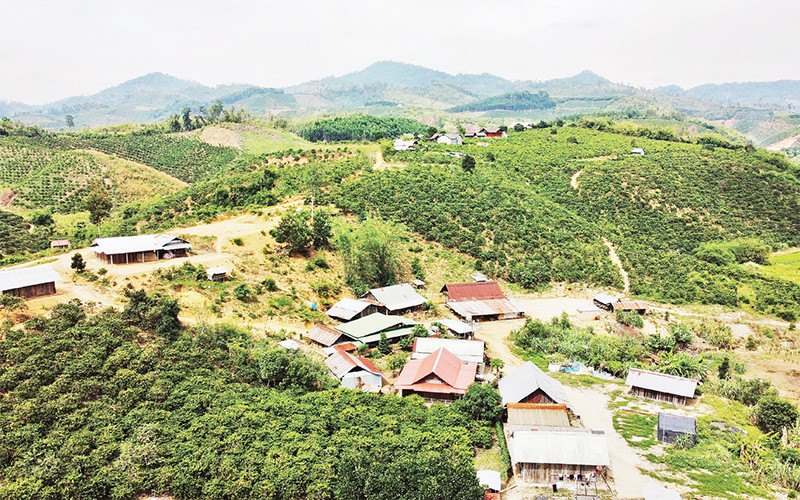 Hiện tỉnh Ðắk Nông còn nhiều hộ dân di cư tự do, sống không tập trung tại khu bảo tồn, vườn quốc gia... 