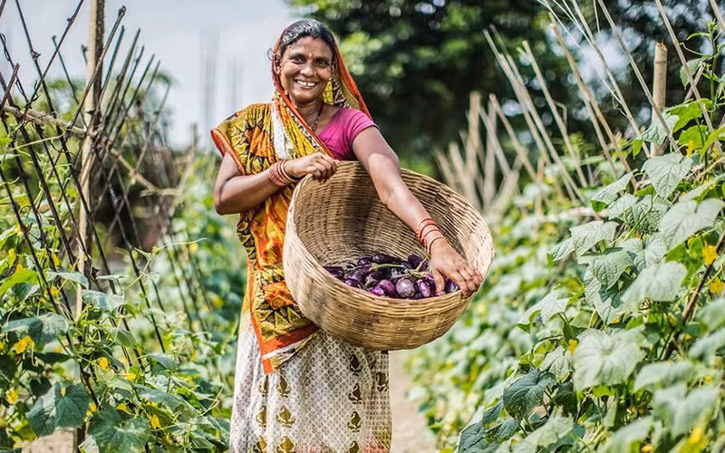 Các dự án nông nghiệp giúp xóa đói, giảm nghèo ở khu vực nông thôn của Nepal. (Ảnh ADB) 