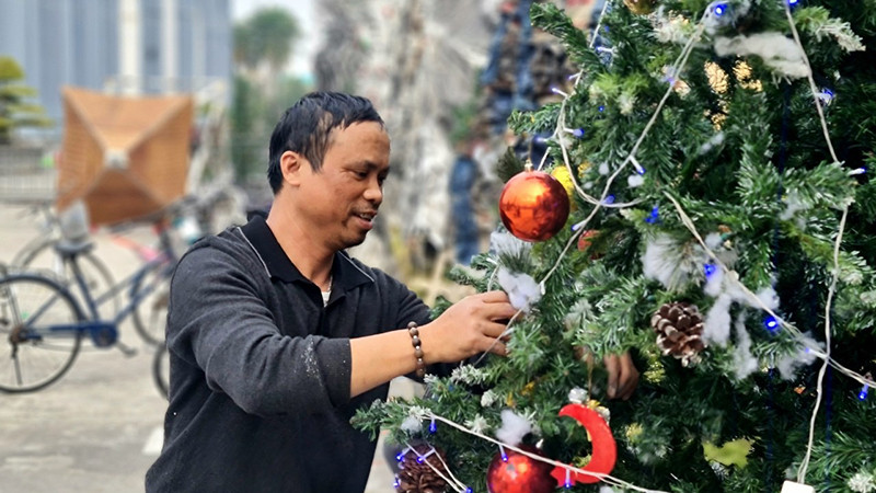 Giáo dân trang trí cây thông Noel tại Tiểu Vương cung thánh đường Phú Nhai, xã Xuân Phương, huyện Xuân Trường (Nam Ðịnh). 
