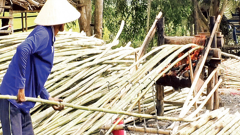 Tầm vông sau khi đốn, róc sạch nhánh và lá sẽ được đưa vào lò lửa để uốn (bẻ) cho thẳng trước khi bán cho thương lái. 