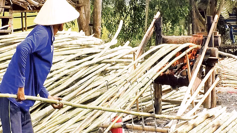 Tầm vông sau khi đốn, róc sạch nhánh và lá sẽ được đưa vào lò lửa để uốn (bẻ) cho thẳng trước khi bán cho thương lái. 