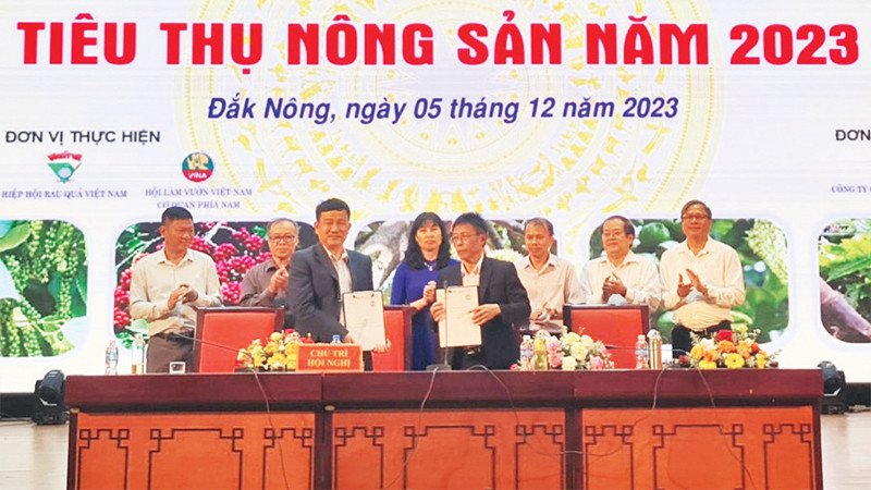 Ký kết hợp tác giữa các hợp tác xã, Hội nông dân tỉnh với các doanh nghiệp trong nước về liên kết sản xuất, tiêu thụ sản phẩm nông nghiệp. 