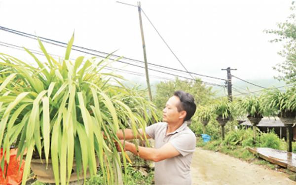 Mô hình của anh Hạng A Giả, xã Ngũ Chỉ Sơn góp phần nâng cao thu nhập gia đình. 